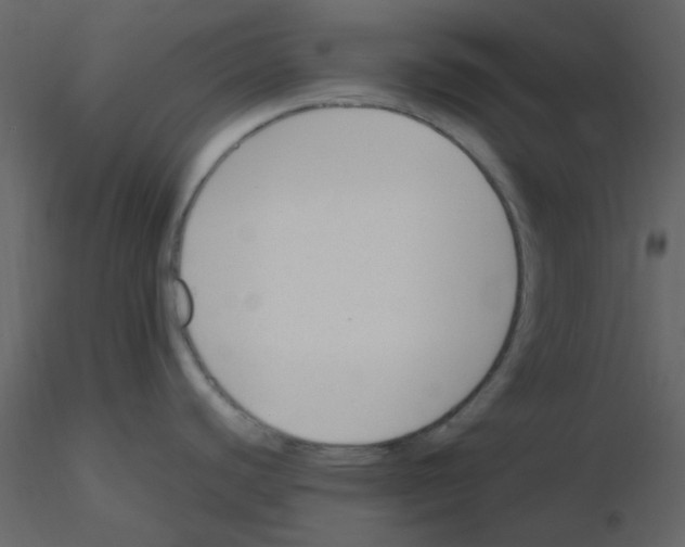 X0000115761440200912241720