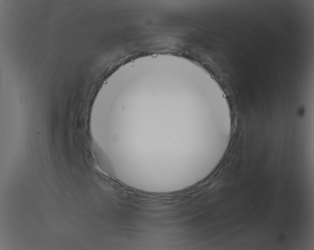 X0000115761441200912241719