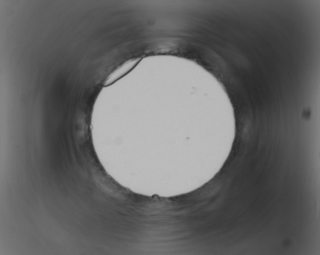 X0000115761442200912241719