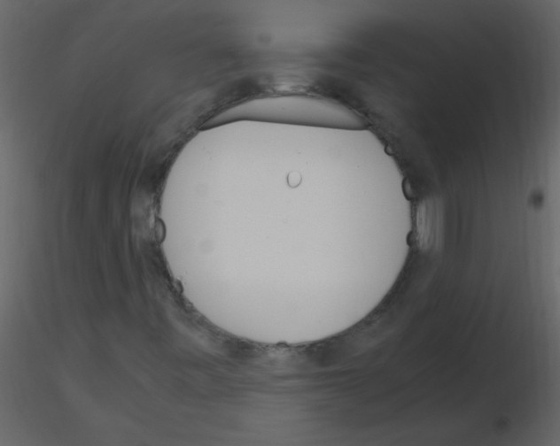 X0000115761443200912241719