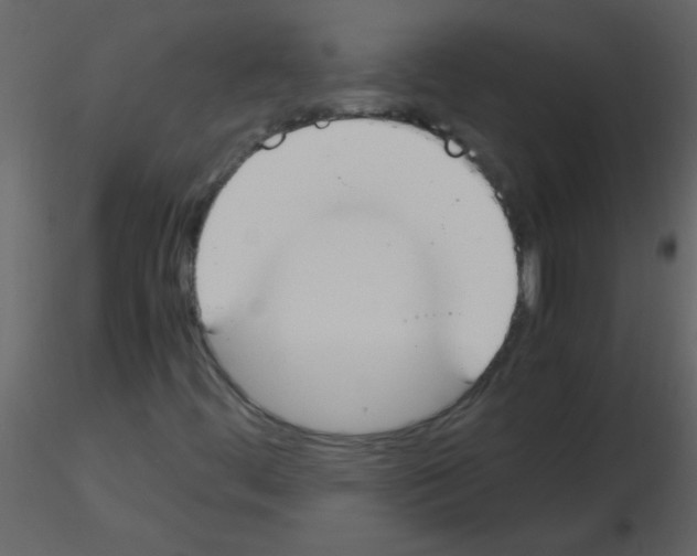X0000115761444200912241719