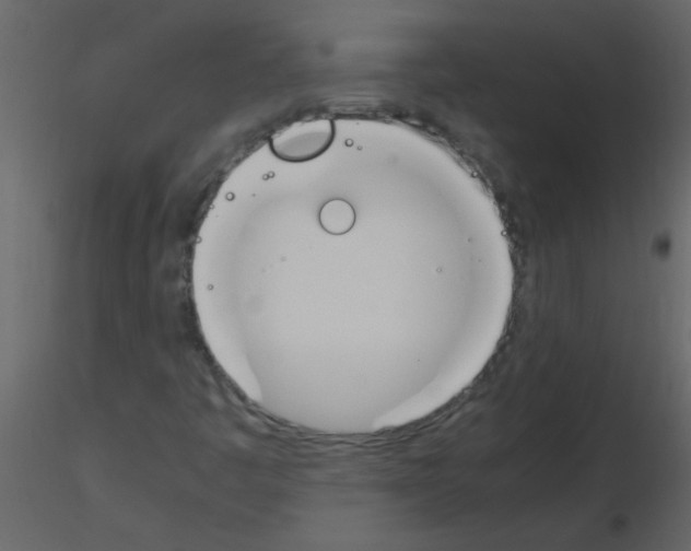 X0000115761445200912241719