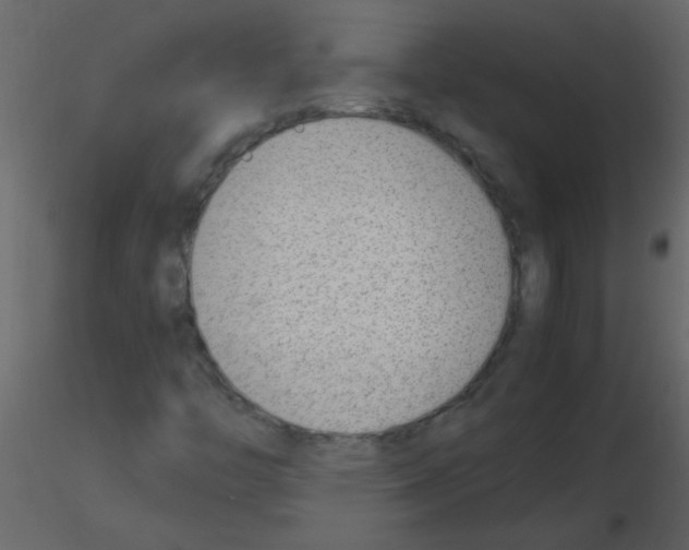 X0000115761446200912241719