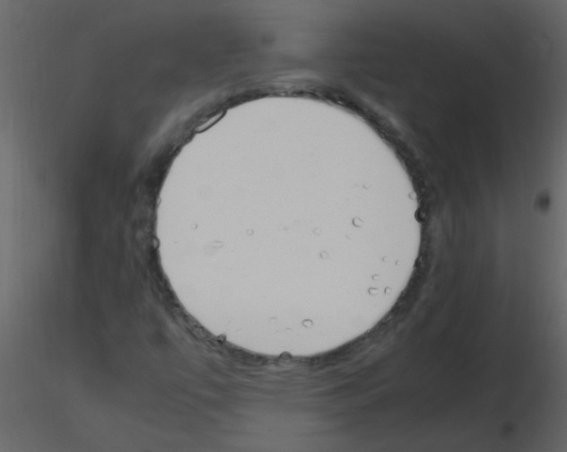 X0000115761447200912241719
