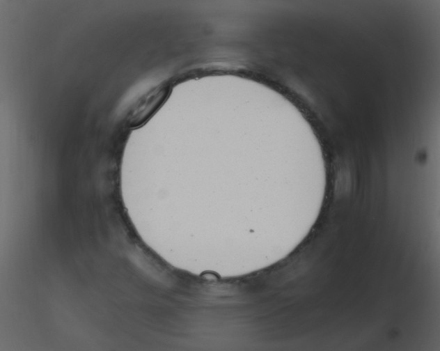 X0000115761448200912241719