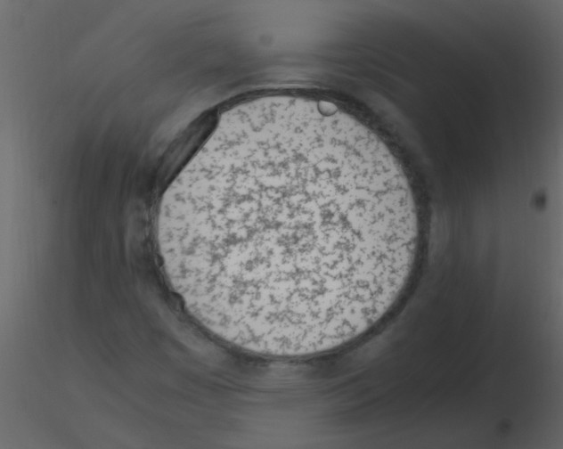 X0000115761449200912241719