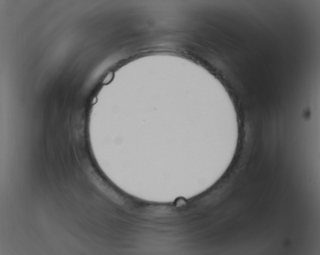 X0000115761450200912241719