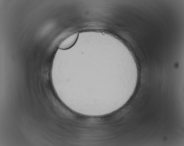 X0000115761451200912241719