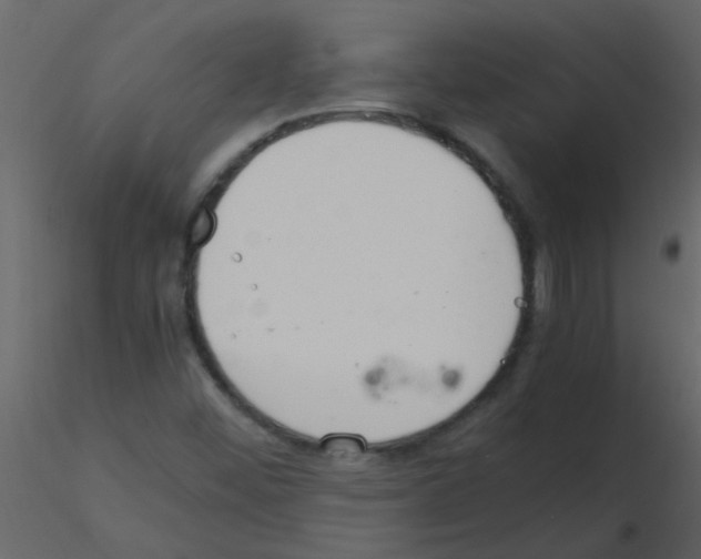 X0000115761452200912241719