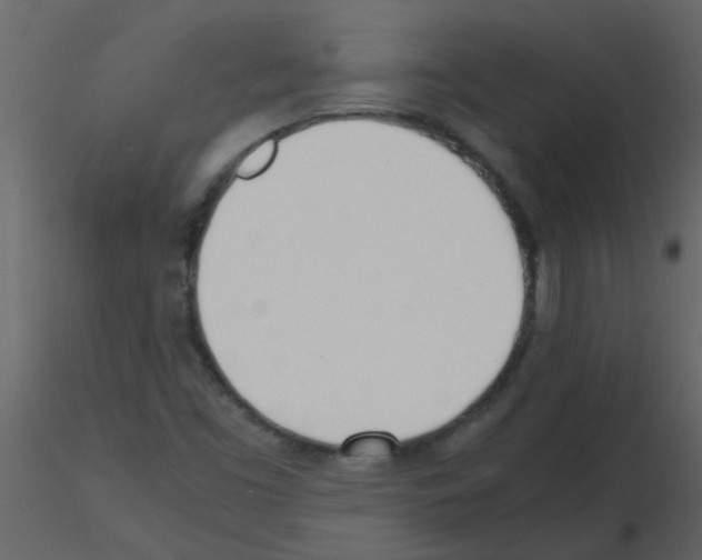 X0000115761453200912241719