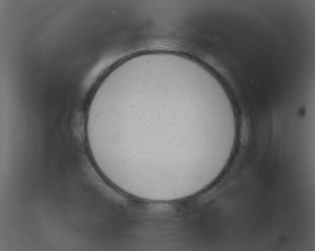 X0000115761454200912241719