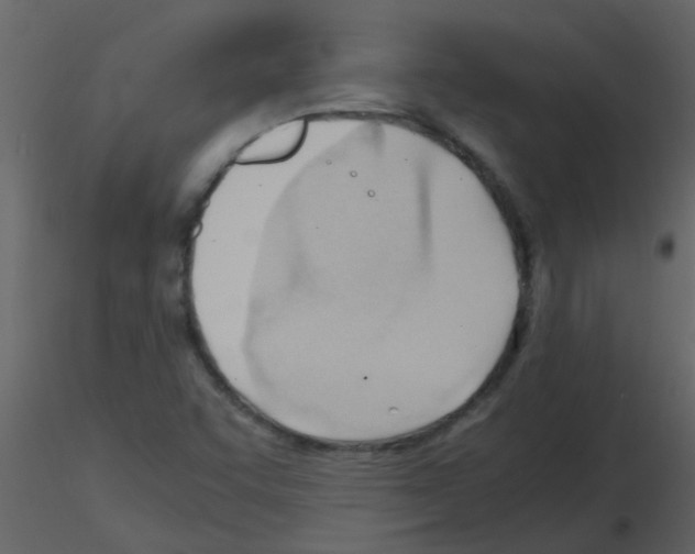 X0000115761455200912241719