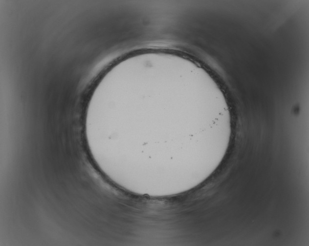 X0000115761456200912241719