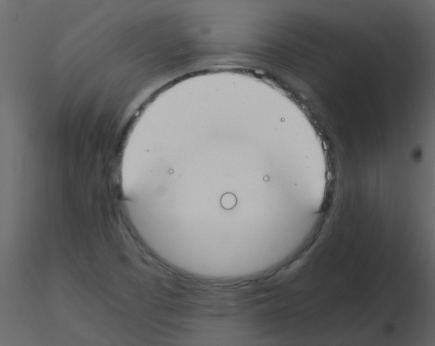 X0000115761457200912241719