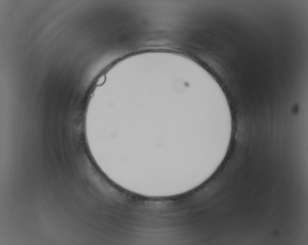 X0000115761458200912241719
