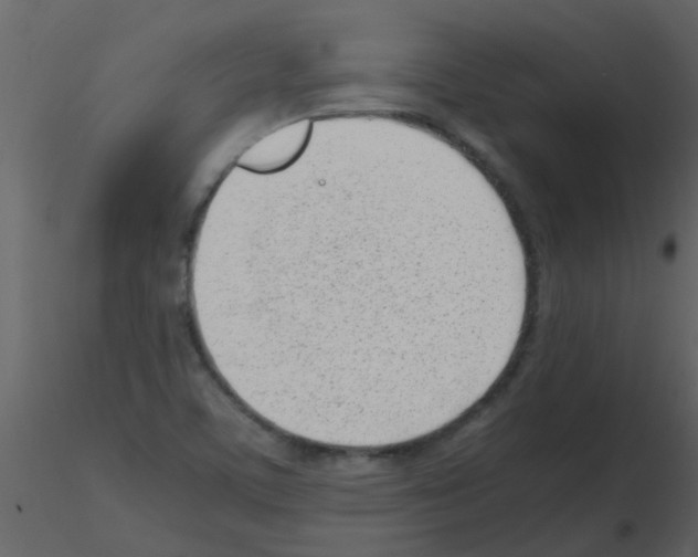 X0000115761459200912241719