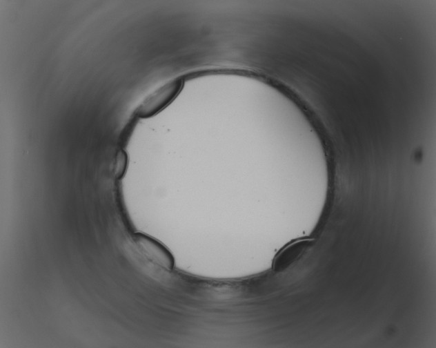 X0000115761460200912241719