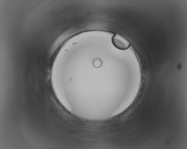 X0000115761461200912241719
