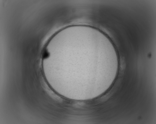 X0000115761462200912241719