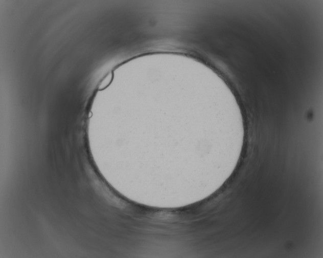 X0000115761463200912241719