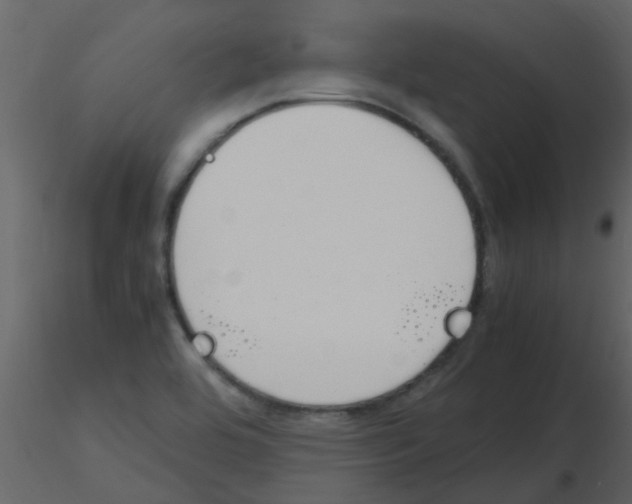X0000115761464200912241719
