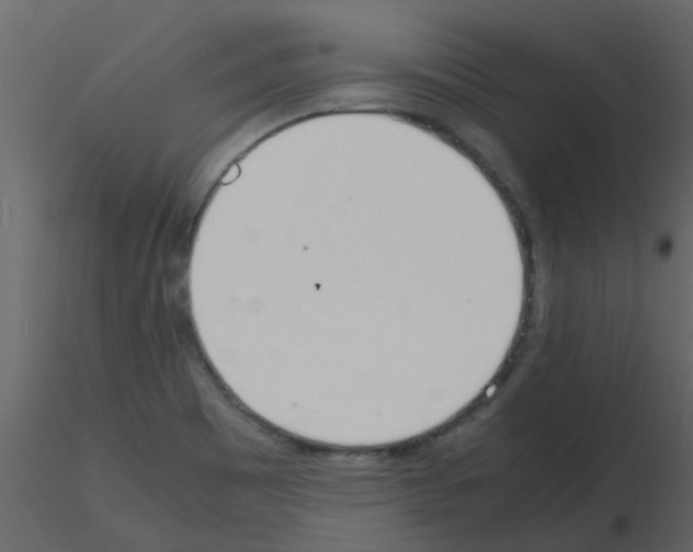X0000115761465200912241719