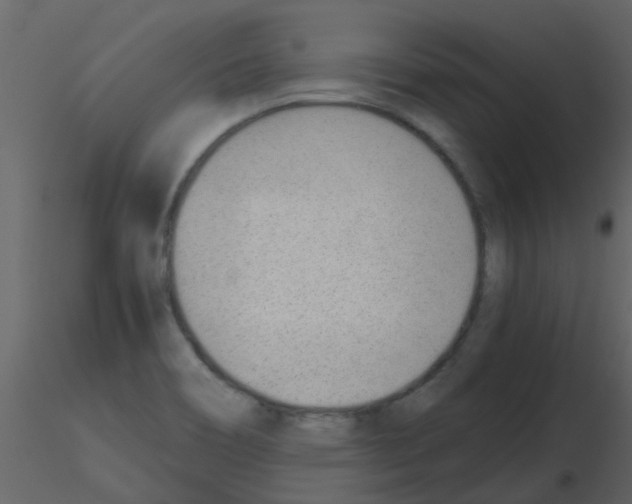 X0000115761466200912241719