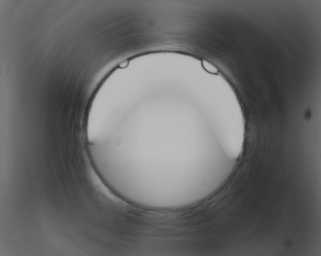 X0000115761468200912241719