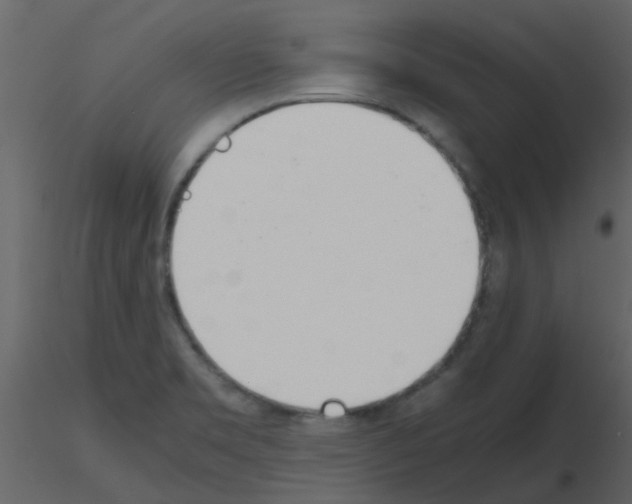 X0000115761469200912241719