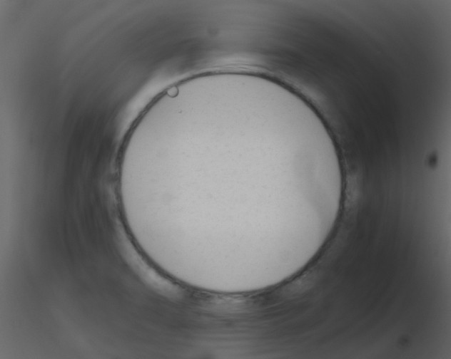 X0000115761470200912241719