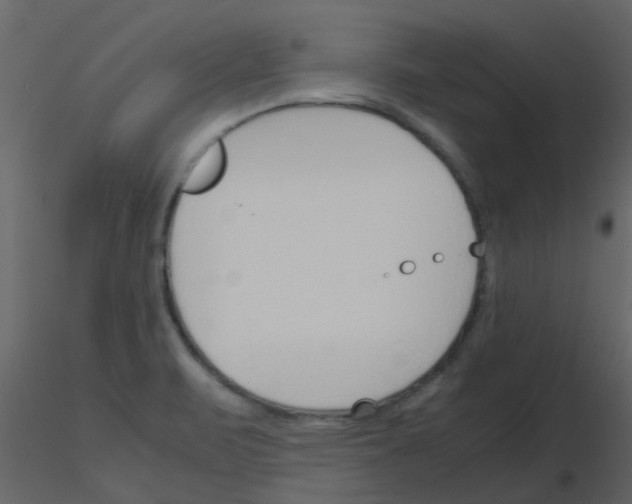 X0000115761471200912241719