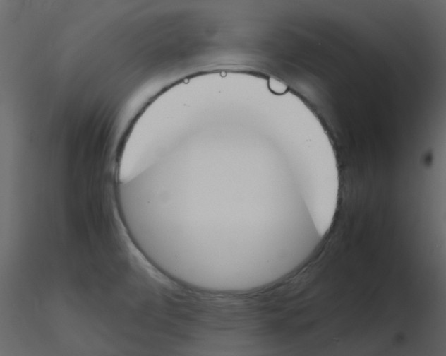 X0000115761472200912241719