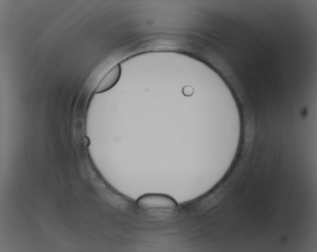 X0000115761473200912241719