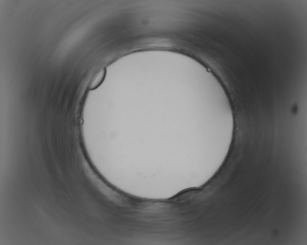 X0000115761475200912241718