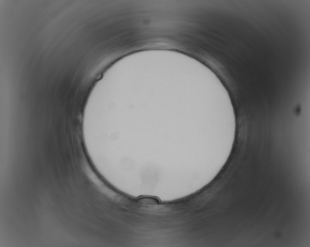 X0000115761476200912241718