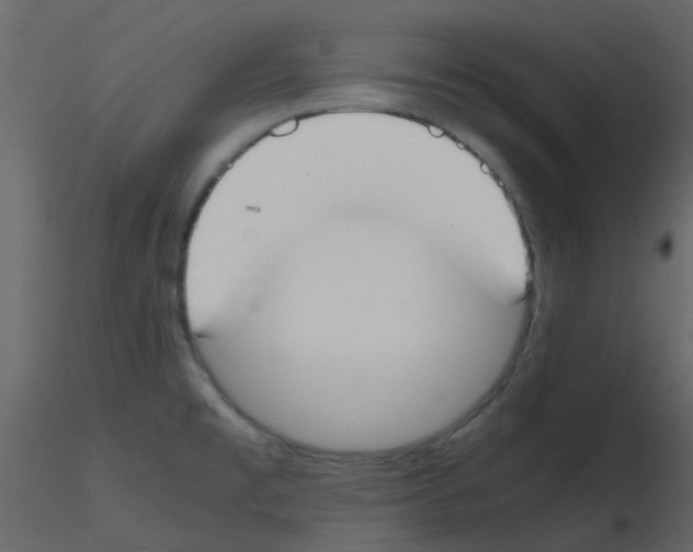 X0000115761477200912241718