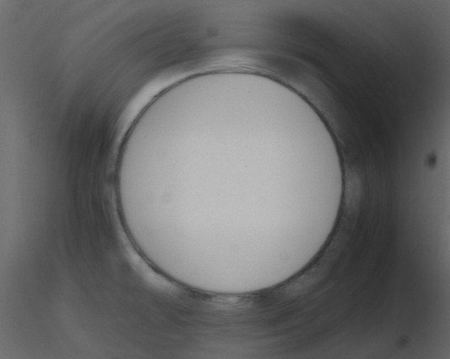 X0000115761478200912241718