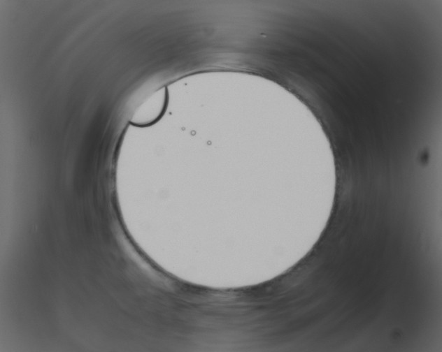 X0000115761479200912241718