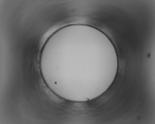 X0000115761480200912241718