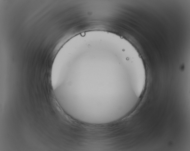 X0000115761481200912241718