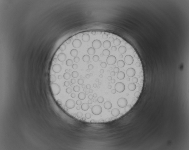 X0000115761483200912241718