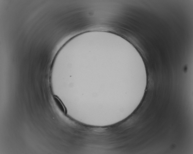 X0000115761484200912241718