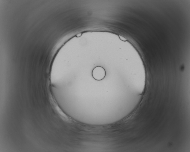 X0000115761485200912241718