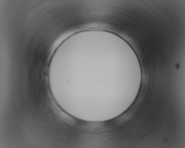 X0000115761486200912241718