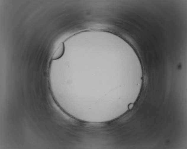 X0000115761487200912241718