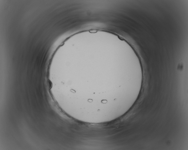 X0000115761488200912241718