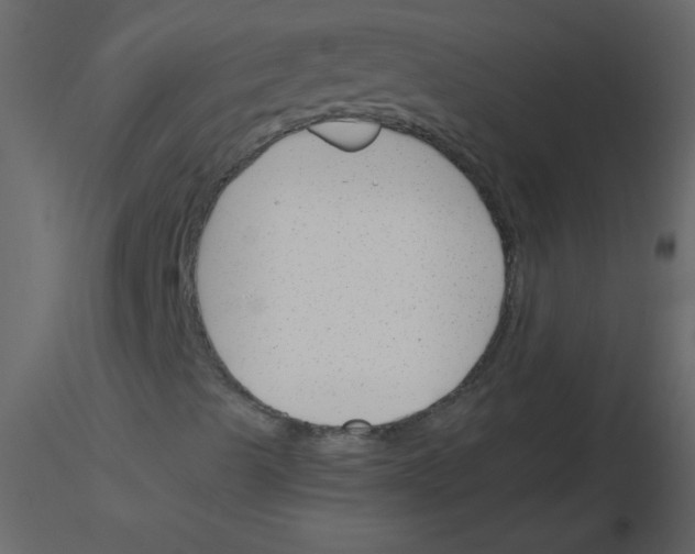 X0000115761489200912241718