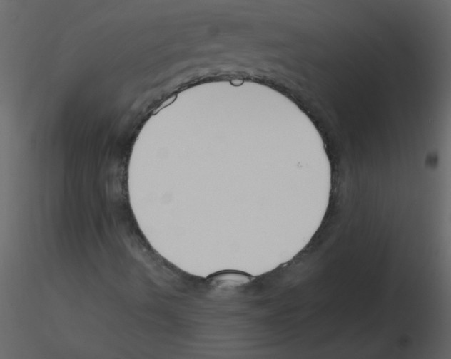 X0000115761490200912241718