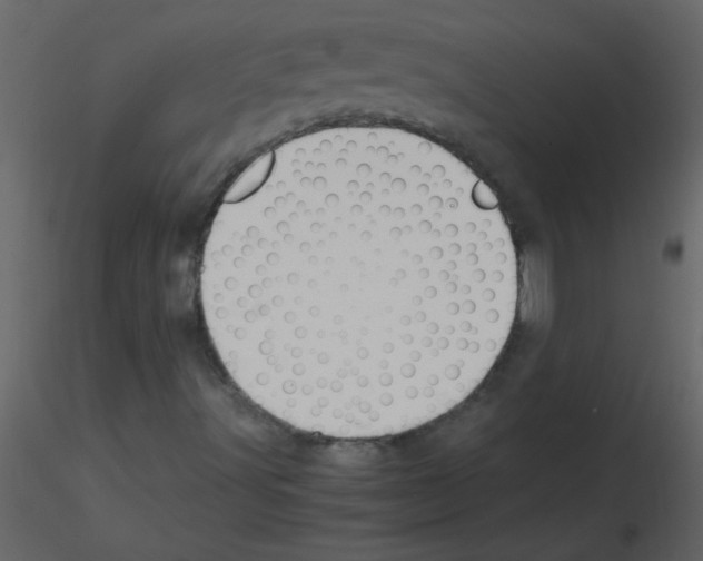 X0000115761491200912241718