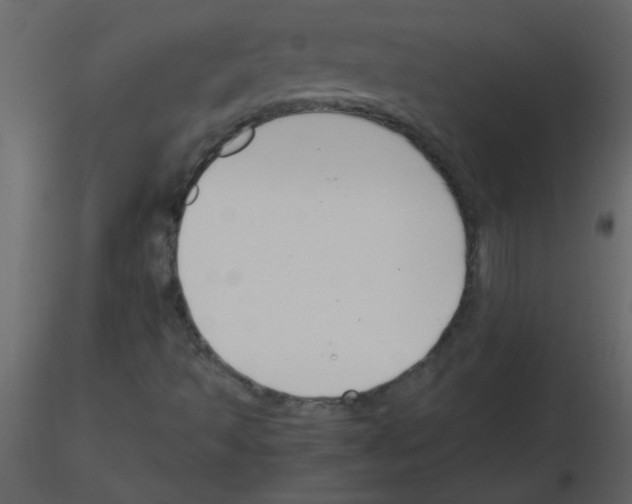 X0000115761493200912241718